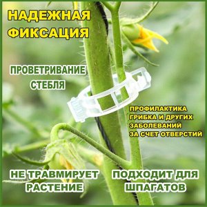 Клипсы для подвязки растений 25 мм - 50 шт.