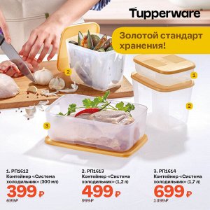 Контейнер "Система холодильник" (300 мл)