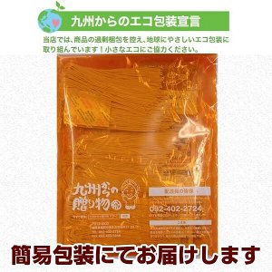 Kyushu Hakata Nagahama Tonkotsu Ramen - фирменный тонкоцу рамен из префектуры Фукуока