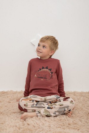Пижама(Осень-Зима)+boys (шоколадный десерт, добрые динозавры)