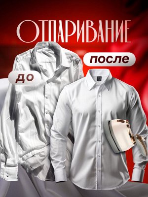 Утюг, отпариватель для одежды 2в1, RAF, 1000 Вт