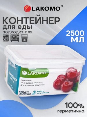 Контейнер пластик 2,5л прям 22,5х16х11см