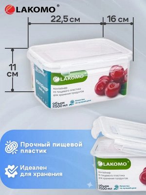 Контейнер пластик 2,5л прям 22,5х16х11см