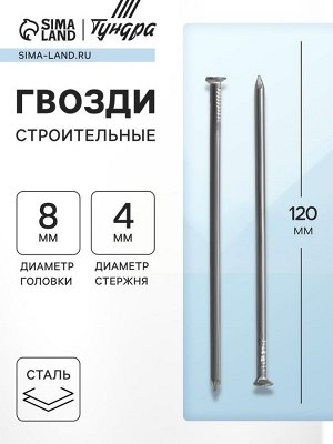 Гвозди ТУНДРА, строительные, ГОСТ 4028-63, без покрытия, 4x120 мм, 25 кг