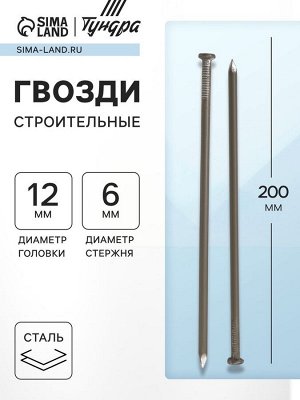 Гвозди ТУНДРА, строительные, ГОСТ 4028-63, без покрытия, 6x200 мм, 5 кг