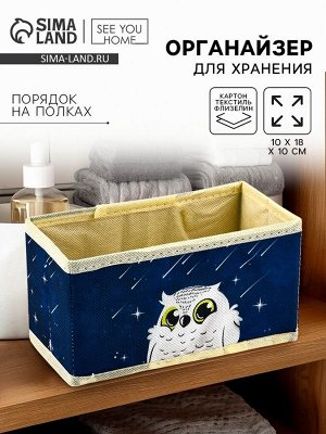 Органайзер для хранения, кофр для белья «Совушка», 10x18x10 см