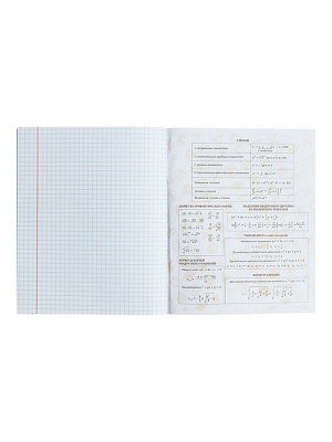 Тетрадь предметная 48 листов в клетку Calligrata, «Школьный стиль. Алгебра», пластиковая обложка