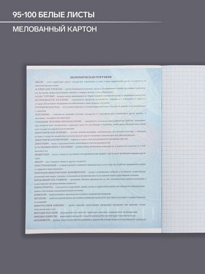 Тетрадь предметная, 48 листов в клетку, Calligrata «Герб. География»