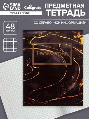 Тетрадь предметная 48 листов в клетку Calligrata, «Мрамор тёмный. Геометрия», обложка мелованный картон