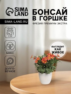 Бонсай в горшке «Фрезия премиум экстра», 9*21 см, МИКС