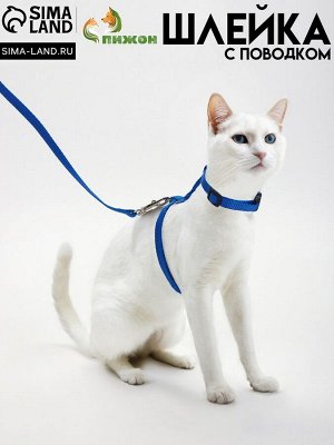 Комплект для кошек, ширина 1 см, ОШ 16,5-27 см, ОГ 21-35 см, поводок 120 см, синий