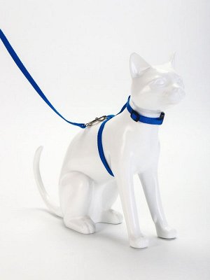 Комплект для кошек, ширина 1 см, ОШ 16,5-27 см, ОГ 21-35 см, поводок 120 см, синий