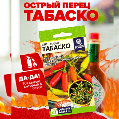 Перец Табаско. Пикантная новинка