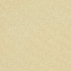 VETTA Чехол для одежды спанбонд 60х150см