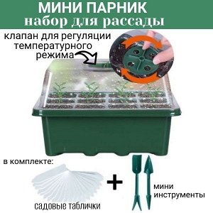 Мини-парник для выращивания рассады