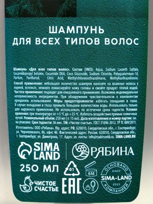 Подарочный набор новогодний «Ты можешь больше!», гель для душа, шампунь для волос, 2x250 мл, Чистое счастье