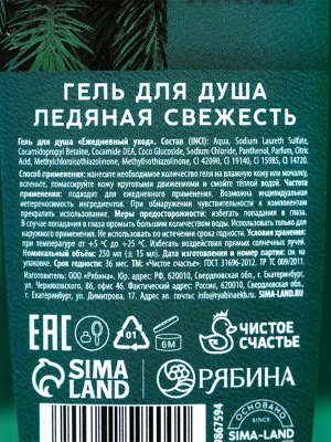Подарочный набор новогодний «Ты можешь больше!», гель для душа, шампунь для волос, 2x250 мл, Чистое счастье