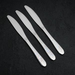 Набор столовых ножей «Неон», h=22,4 см, 3 шт