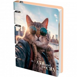 Тетрадь на кольцах,100 листов, КЛЕТКА, А5,  MESHU "Cat and the city", картон, матовая ламинация