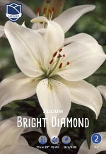 Лилия Bright Diamond