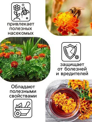 Семена цветов Бархатцы «Болеро», 0.2 г