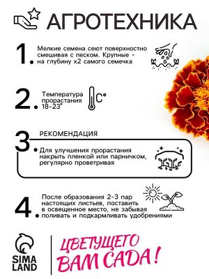 Семена цветов Бархатцы «Болеро», 0.2 г