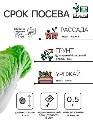 Рецепты Дедушки Никиты Семена Капуста пекинская &quot;Бокал&quot;, 0,5 г