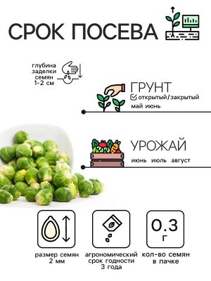Семена Капуста брюссельская "Розелла", 0,3 г