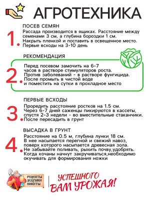 Семена Капуста белокочанная "Белорусская 455", 0,3 г