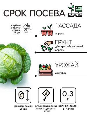 Семена Капуста белокочанная "Белорусская 455", 0,3 г
