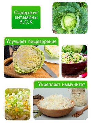 Семена Капуста белокочанная «Зимовка 1474», 0.1 г