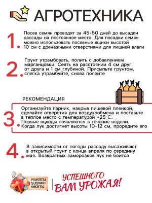 Семена Лук репчатый «Красный», 0.3 г