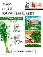 Семена Лук порей &quot;Карантанский&quot;, 0,1 г
