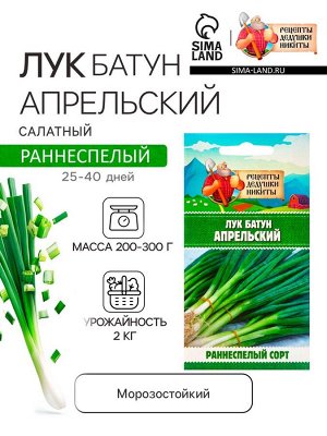 Рецепты Дедушки Никиты Семена Лук батун &quot;Апрельский&quot;, 0,5 г