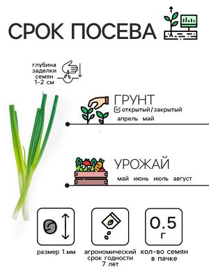 Рецепты Дедушки Никиты Семена Лук батун &quot;Апрельский&quot;, 0,5 г