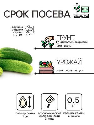 Семена Огурец "Хрустик", 0,5 г