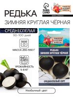 Семена Редька &quot;Зимняя круглая чёрная&quot;, среднеспелая, 1 г