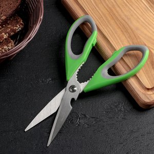 Ножницы кухонные  «Гари», 22 см, цвет МИКС