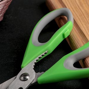 Ножницы кухонные  «Гари», 22 см, цвет МИКС