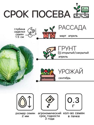 Семена Капуста белокочанная «Зимовка 1474», 0.1 г