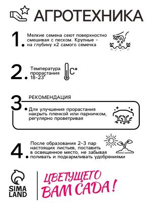 Семена цветов Алиссум "Снежный ковер", 0,05 г