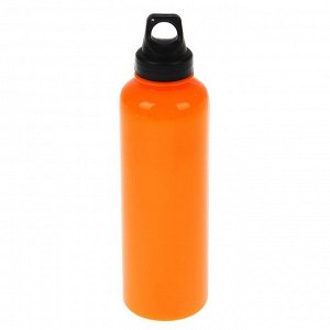 Бутылка для воды 650 мл, спортивная, туристическая, с карабином, 7х22 см, микс
