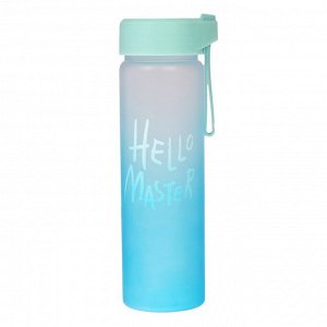 Бутылка для воды "Hello Master", 450 мл, микс, 20х5.5х7 см