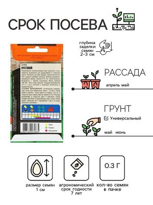 Семена Огурец "Кустовой" раннеспелый, пчелоопыляемый, 0,3 г