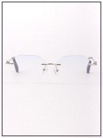 Готовые очки Glodiatr G2568 C8