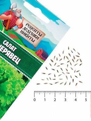Семена Салат "Кучерявец Одесский", 0,5 г