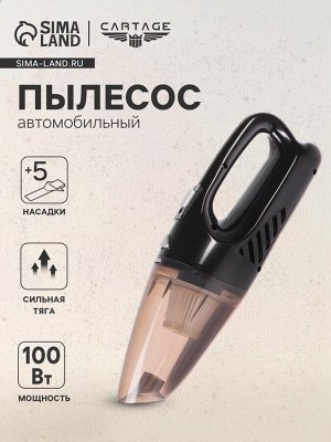 Пылесос автомобильный CYCLONE TURBO, беспроводной, 100 Вт, 12 В, черный