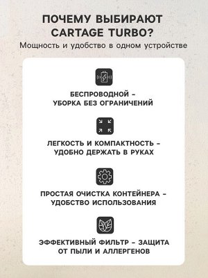 Пылесос автомобильный CYCLONE TURBO, беспроводной, 100 Вт, 12 В, черный