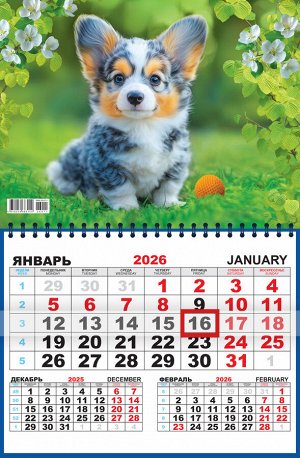 Квартальный одноблочный календарь 2026 "Собаки. Пушистое чудо"