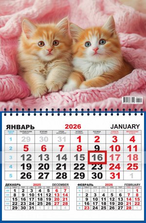 Квартальный одноблочный календарь 2026 "Котята. Милые рыжики"